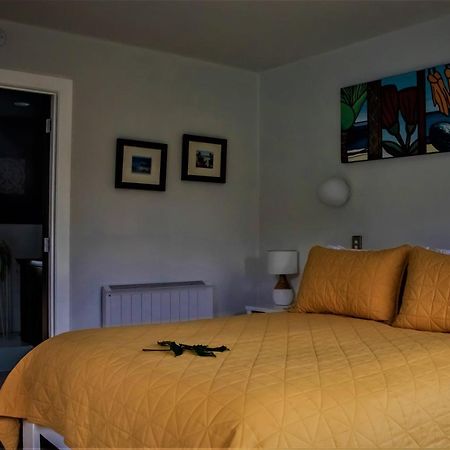 Luxury Stay, Alpaca Farm Paraparaumu Bagian luar foto