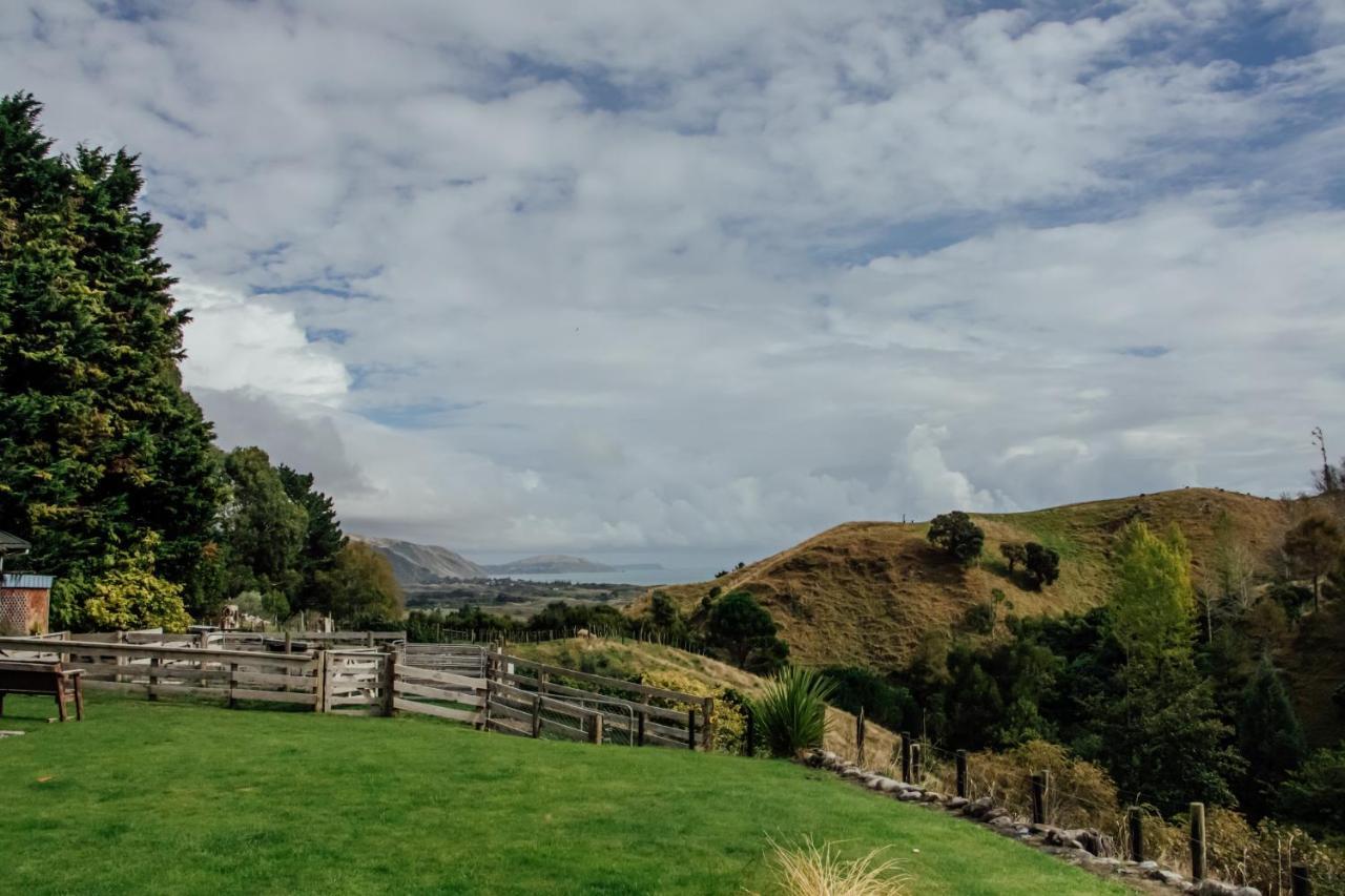Luxury Stay, Alpaca Farm Paraparaumu Bagian luar foto