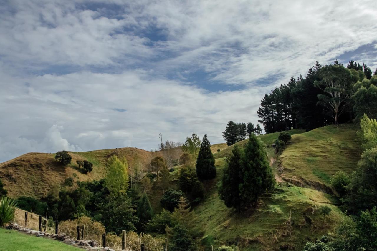 Luxury Stay, Alpaca Farm Paraparaumu Bagian luar foto